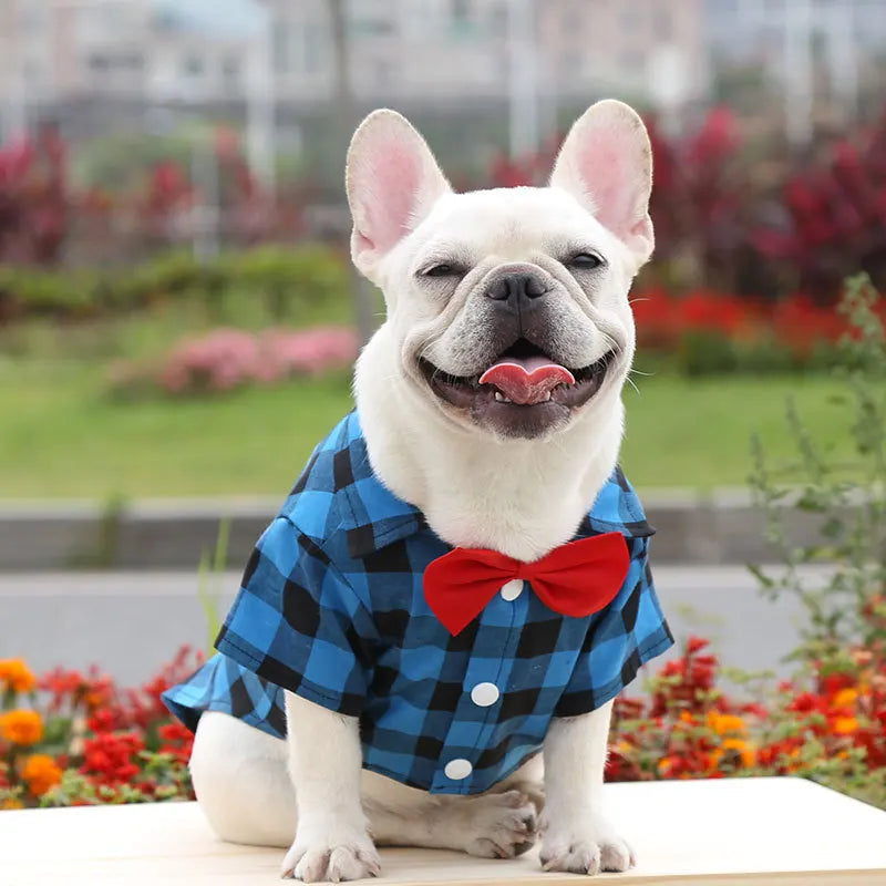 Chemise à carreaux pour chien, costume pour chien, robe de mariage pour chat, vêtements pour animaux de compagnie pour chiens de petite, moyenne et grande taille, Schnauzer, Bouledogue Français, fournitures pour chats