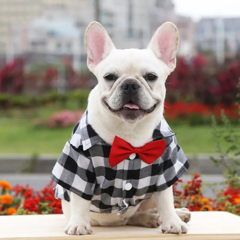 Chemise à carreaux pour chien, costume pour chien, robe de mariage pour chat, vêtements pour animaux de compagnie pour chiens de petite, moyenne et grande taille, Schnauzer, Bouledogue Français, fournitures pour chats