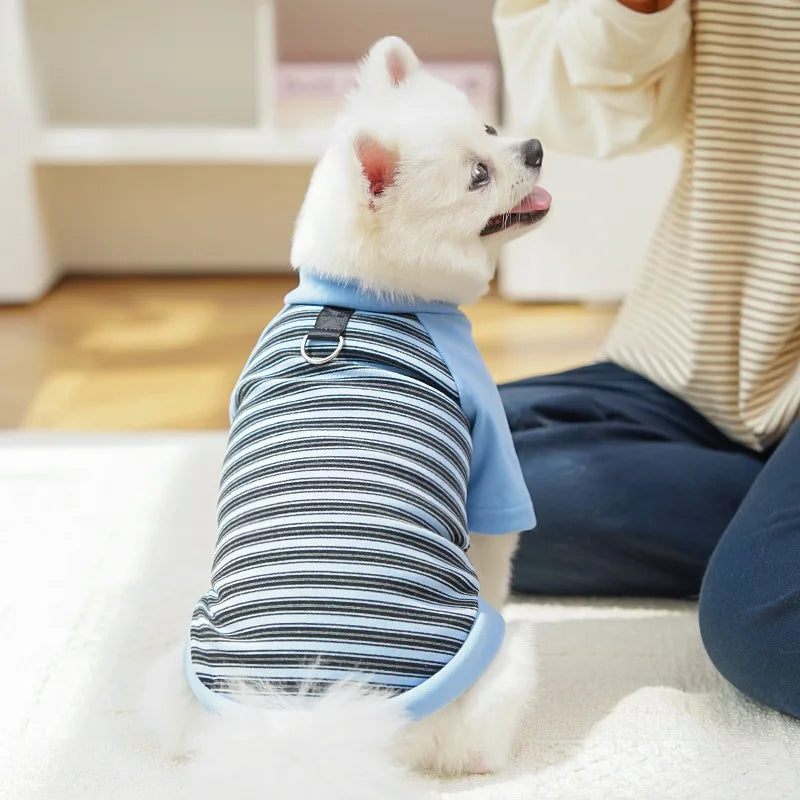 Sweats à capuche chauds et doux en polaire pour petits et moyens chiens, vêtements confortables pour chiots, costumes du Yorkshire Chihuahua, fournitures pour animaux de compagnie