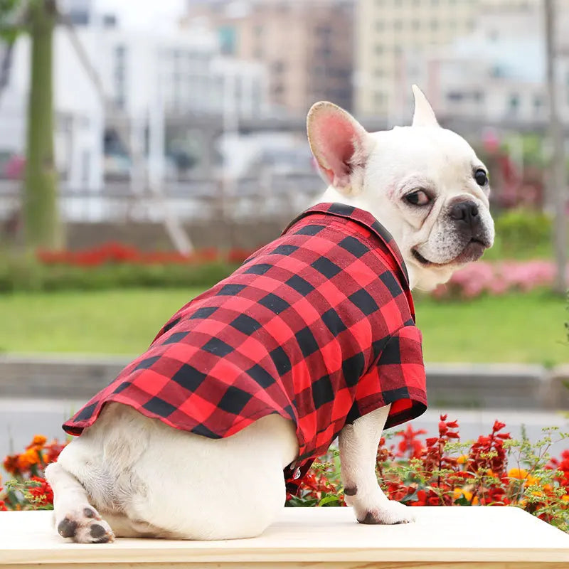 Chemise à carreaux pour chien, costume pour chien, robe de mariage pour chat, vêtements pour animaux de compagnie pour chiens de petite, moyenne et grande taille, Schnauzer, Bouledogue Français, fournitures pour chats