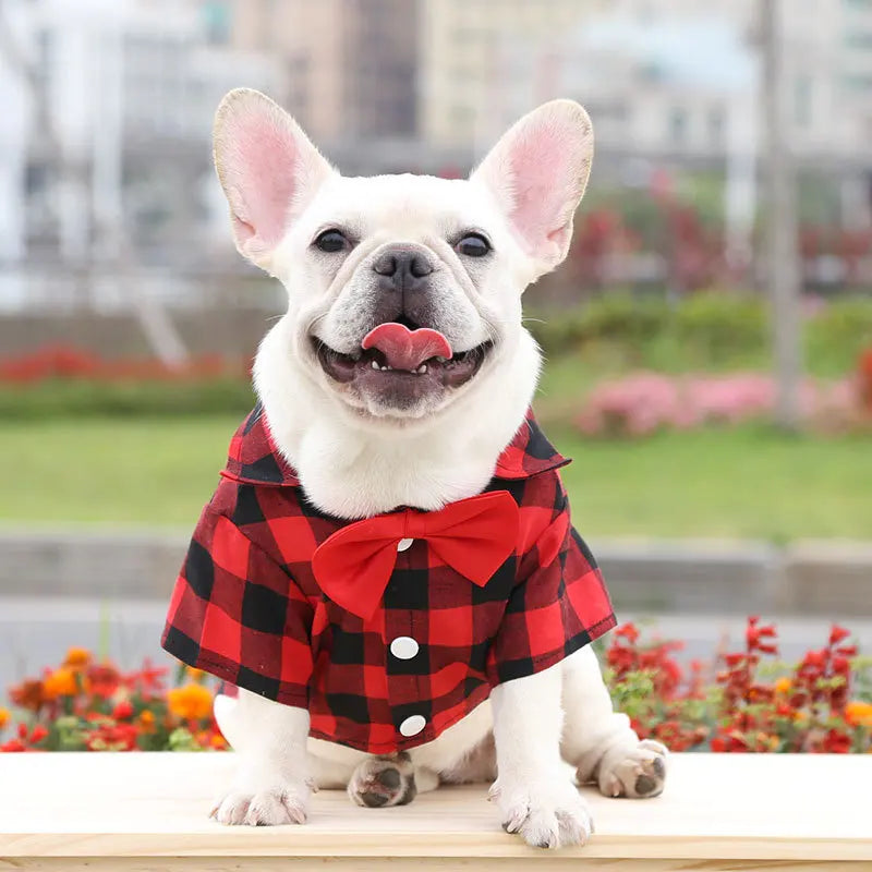 Chemise à carreaux pour chien, costume pour chien, robe de mariage pour chat, vêtements pour animaux de compagnie pour chiens de petite, moyenne et grande taille, Schnauzer, Bouledogue Français, fournitures pour chats