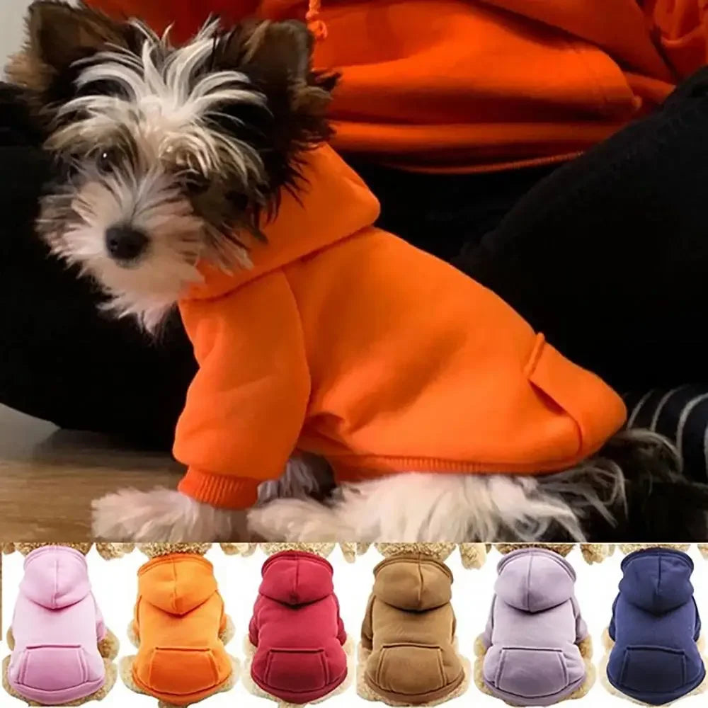 Sweat-shirt à capuche pour chiot et animal de compagnie, automne et hiver, avec poche à deux pattes, vêtements pour chiens et chats