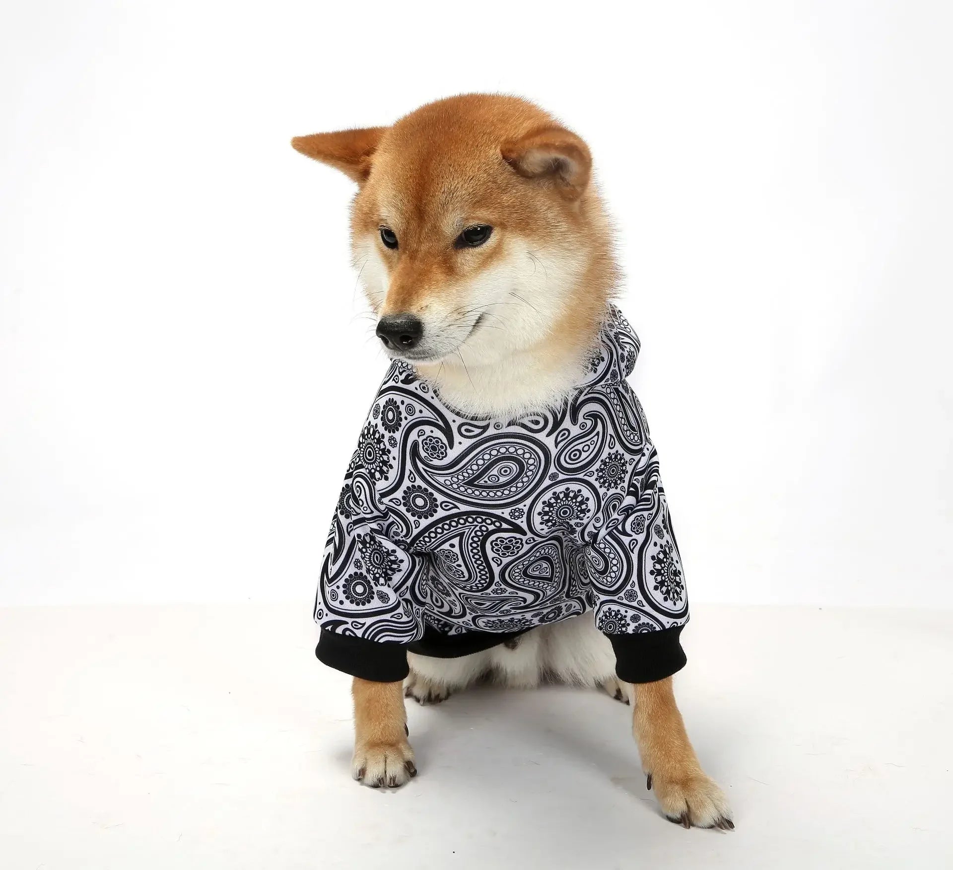 Veste de noël à capuche pour chien, manteau chaud d'hiver pour animaux de compagnie, pour petits, moyens et grands chiens, vêtements pour chiots, mascotte, caillot pour chien